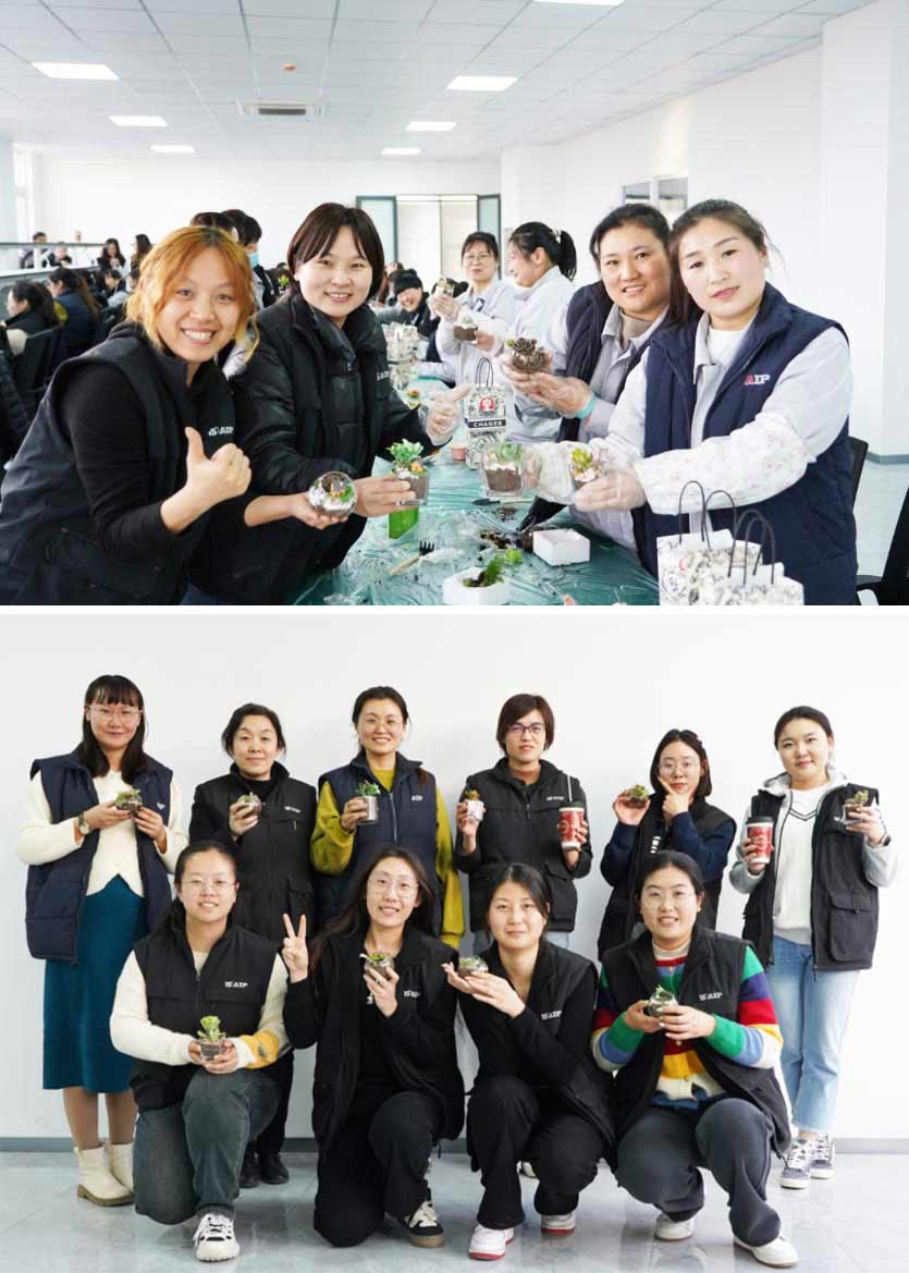 3.8 婦女節(jié)丨微景觀DIY，一起邂逅微世界里的春日—AIP艾普